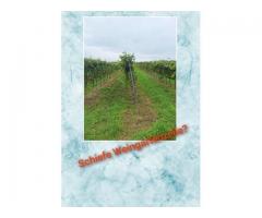 Zeilenaufrichtgerät