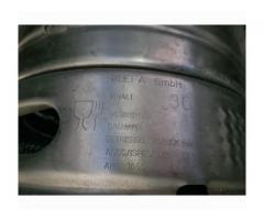 32 Stück 30 Liter Keg + Fitting gebraucht