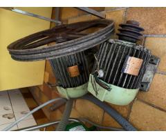 Weinpresse Marke Vaslin veritas 15 -