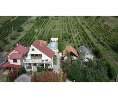 Anwesen mit Weinberg und Wohnhaus in Vinica / Slowakei