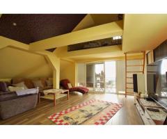 Anwesen mit Weinberg und Wohnhaus in Vinica / Slowakei