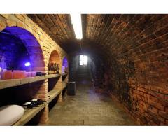 Anwesen mit Weinberg und Wohnhaus in Vinica / Slowakei