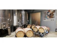 Zweigelt Reserve 2023