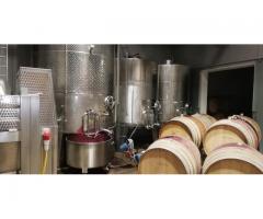 Rose fruchtig leicht