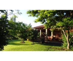 Finca mit großem Grundstück, auch für Weinanbau, Sapucai / Paraguay