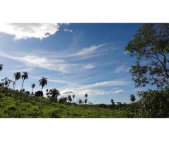 Finca mit großem Grundstück, auch für Weinanbau, Sapucai / Paraguay