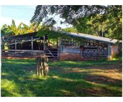 Haus mit großem Grundstück in Aguapety / Paraguay