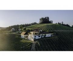 Weingut Südsteiermark