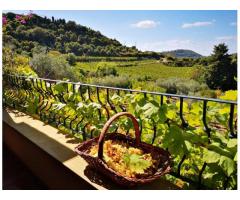Bosa, Sardinien, Italien, großzügiges Landhaus mit ausbaufähigem Weinberg